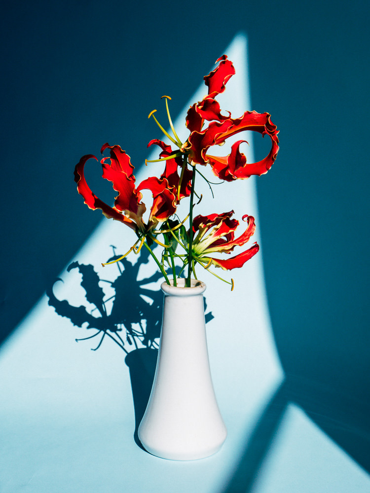 Timothée Lambrecq photography