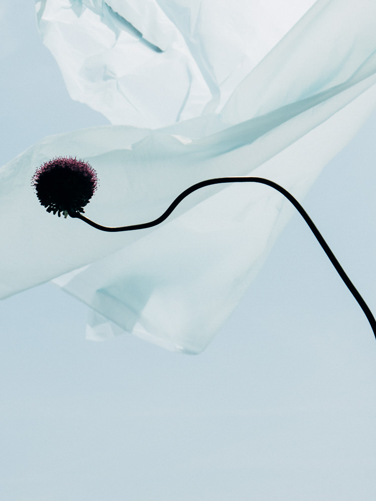 Timothée Lambrecq photography