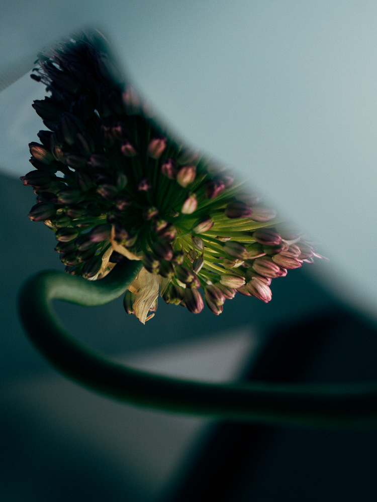 Timothée Lambrecq photography