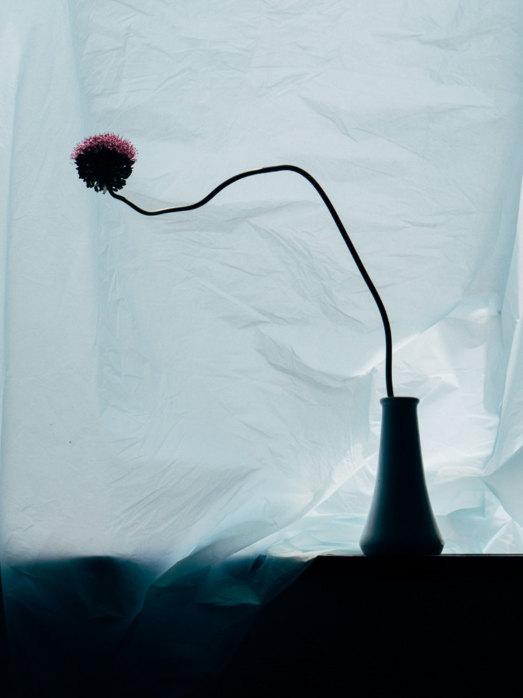 Timothée Lambrecq photography