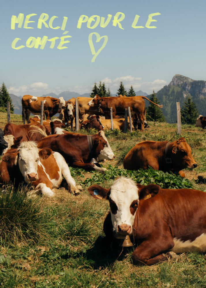 Timothée Lambrecq photography