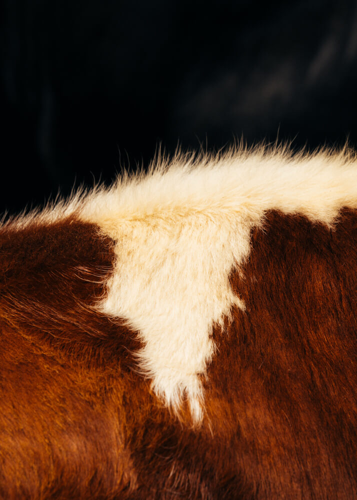 Timothée Lambrecq photography