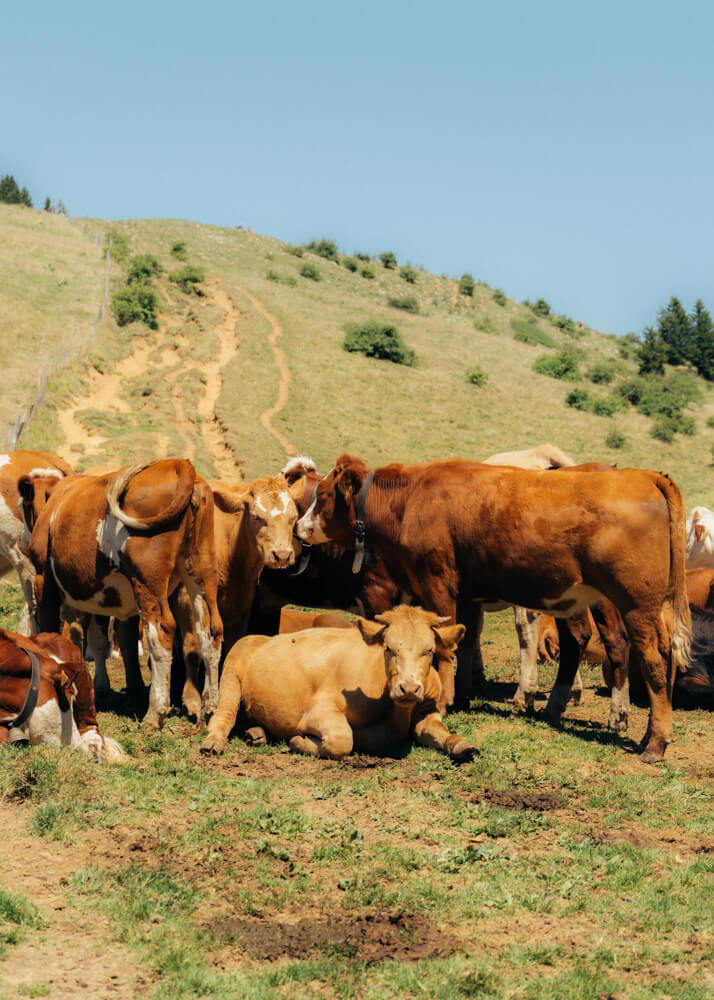 Timothée Lambrecq photography