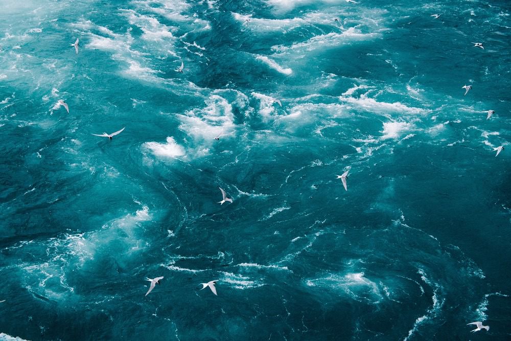 Timothée Lambrecq photography