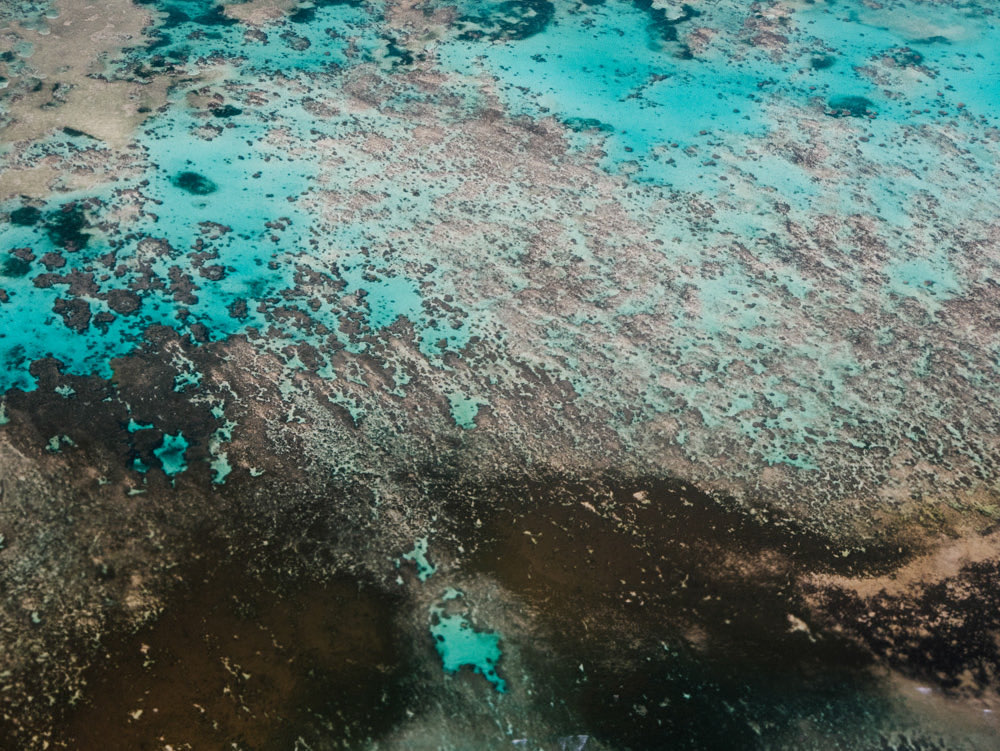 Timothée Lambrecq photography