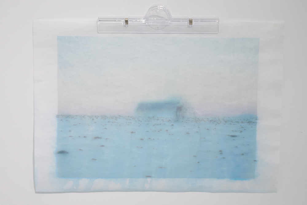 Timothée Lambrecq photography