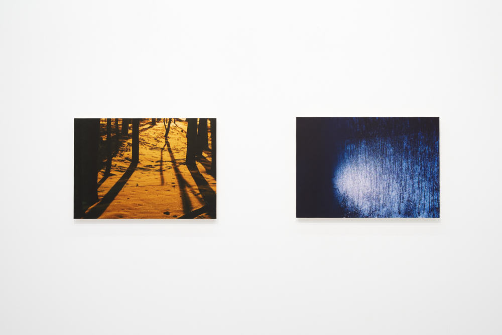 Timothée Lambrecq photography