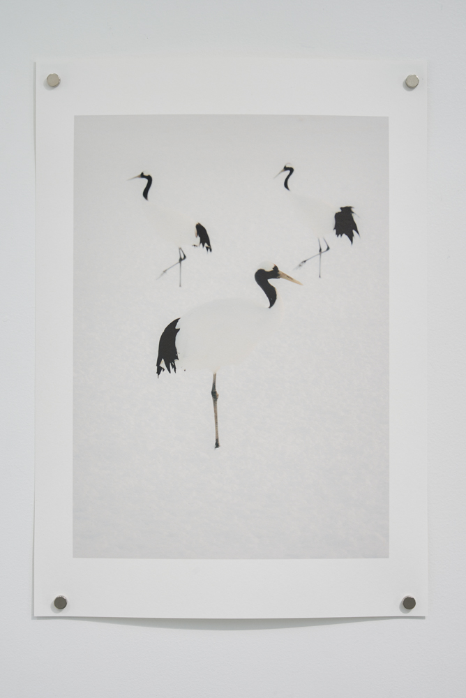 Timothée Lambrecq photography