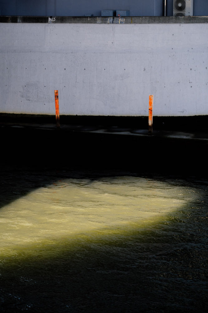 Timothée Lambrecq photography