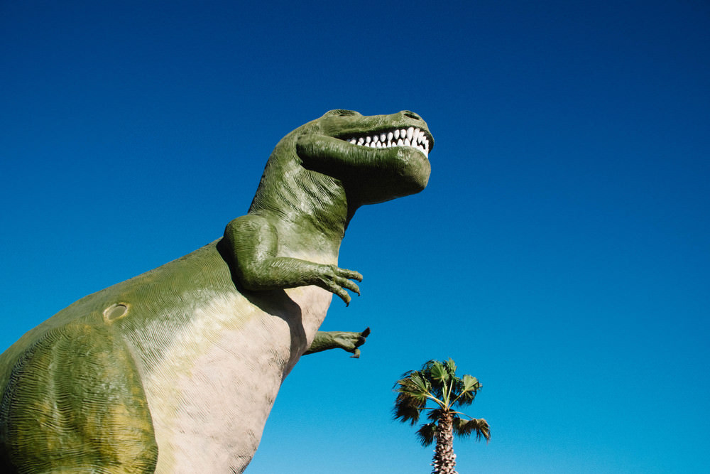 Timothée Lambrecq photography