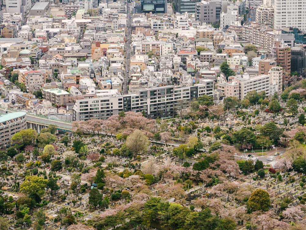 Timothée Lambrecq photography