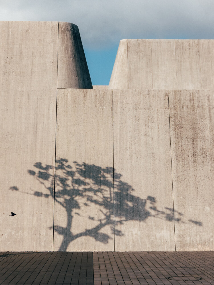 Timothée Lambrecq photography