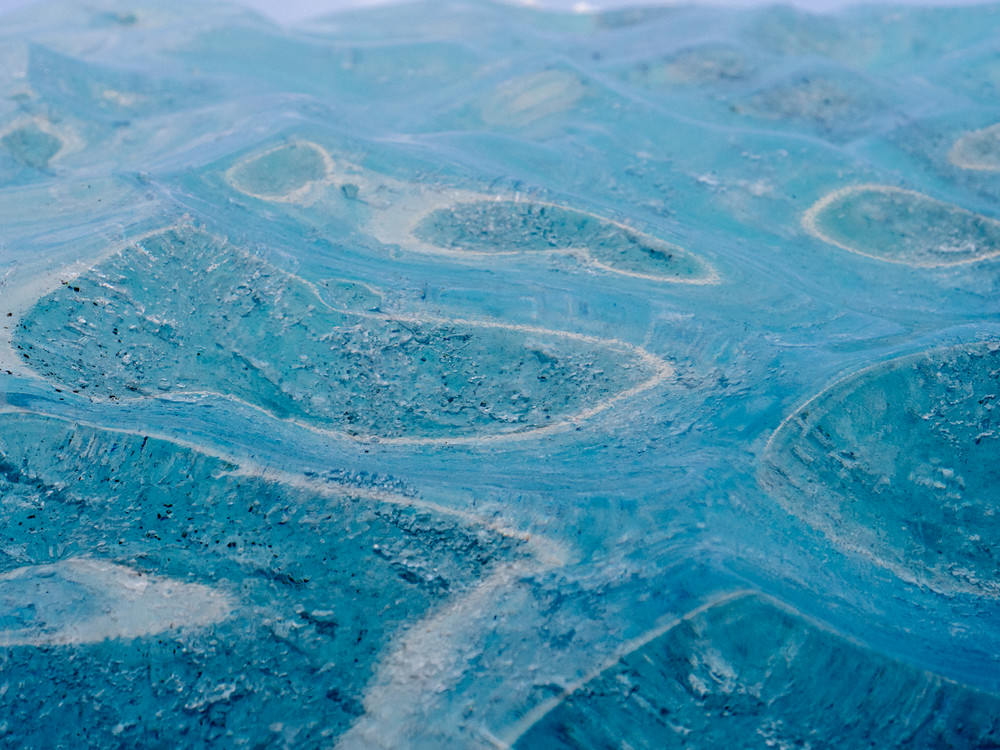 Timothée Lambrecq photography