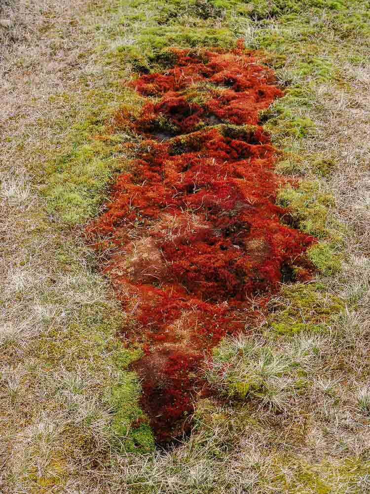 Timothée Lambrecq photography