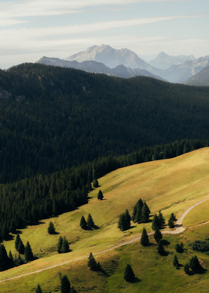 Timothée Lambrecq photography