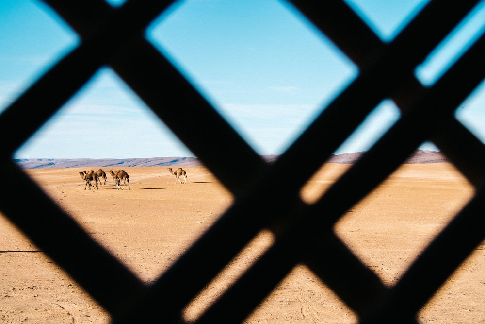 Timothée Lambrecq photography