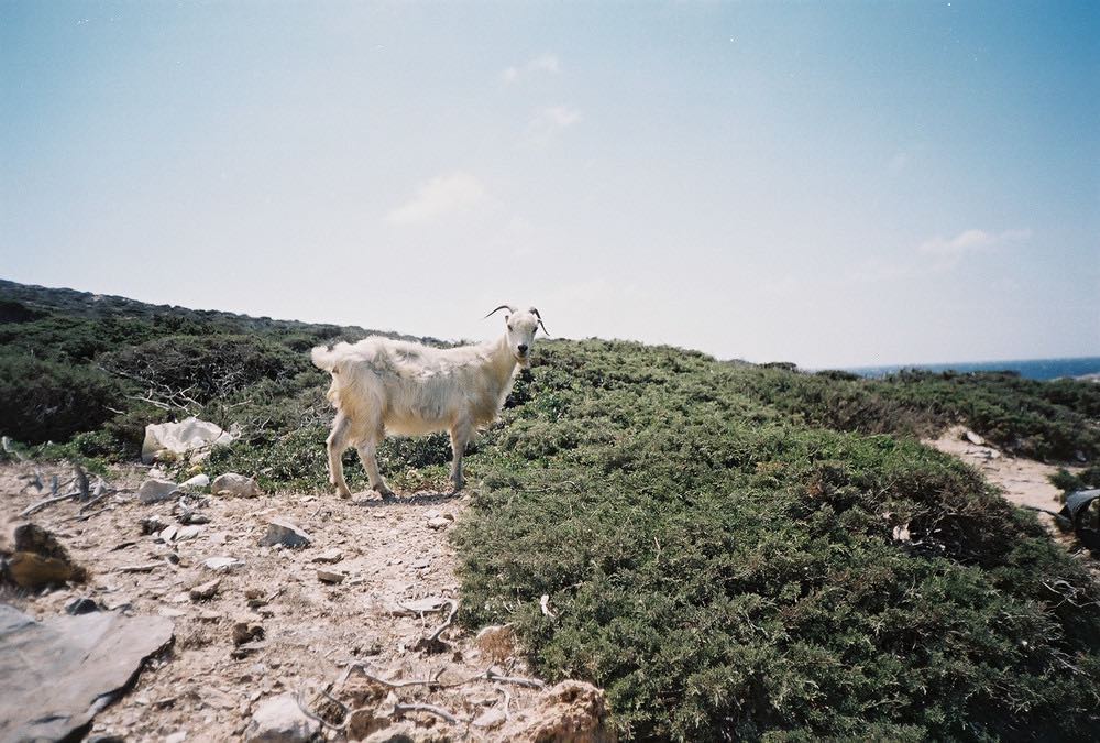 Timothée Lambrecq photography