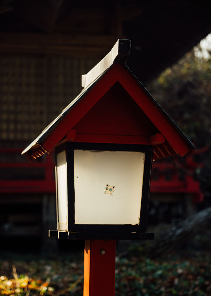 Timothée Lambrecq photography