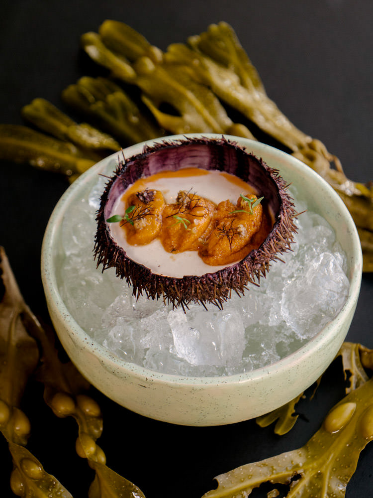 Timothée Lambrecq photography