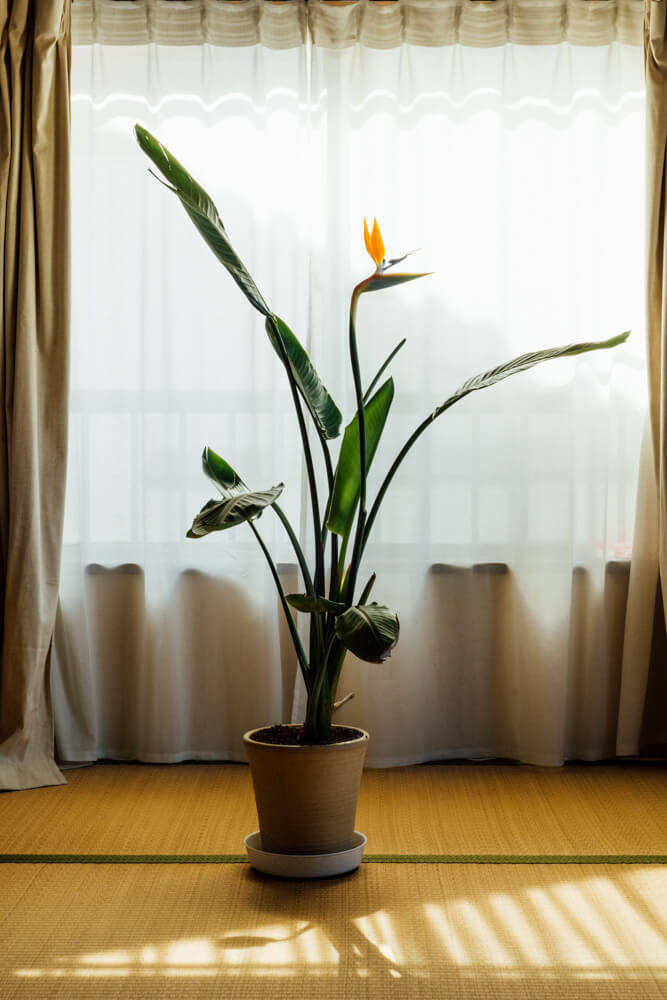 Timothée Lambrecq photography