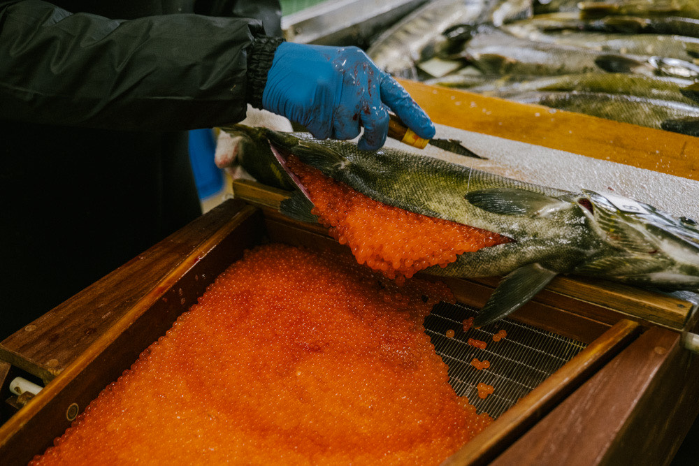 Timothée Lambrecq photography