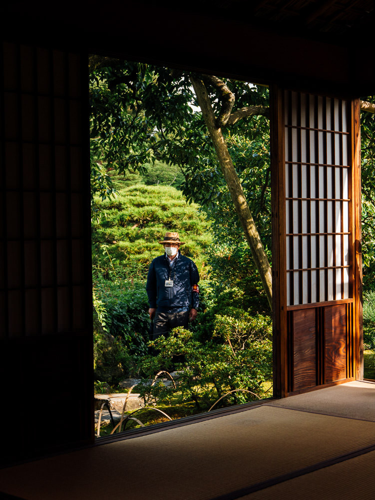 Timothée Lambrecq photography