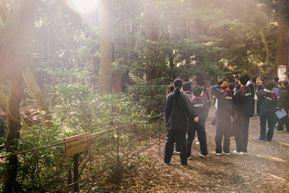 Timothée Lambrecq photography