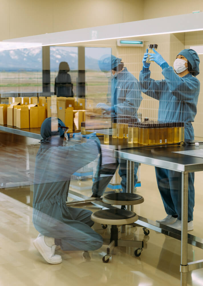 Timothée Lambrecq photography